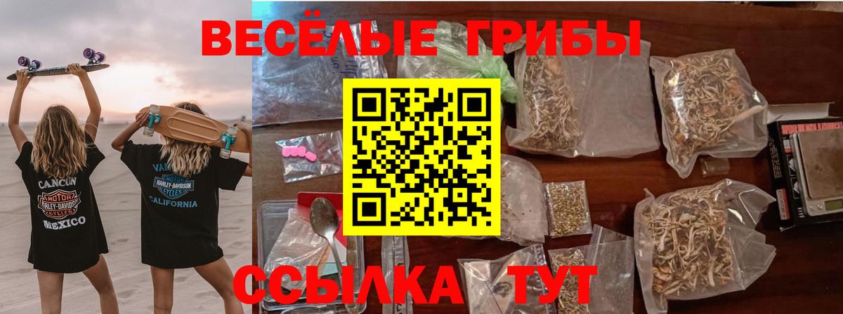 Псилоцибиновые грибы мицелий Ростов-на-Дону